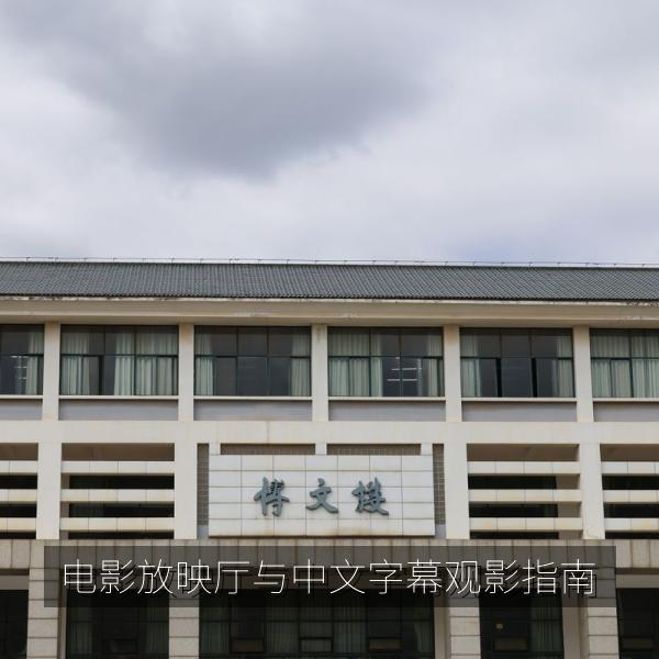 电影放映厅与中文字幕观影指南