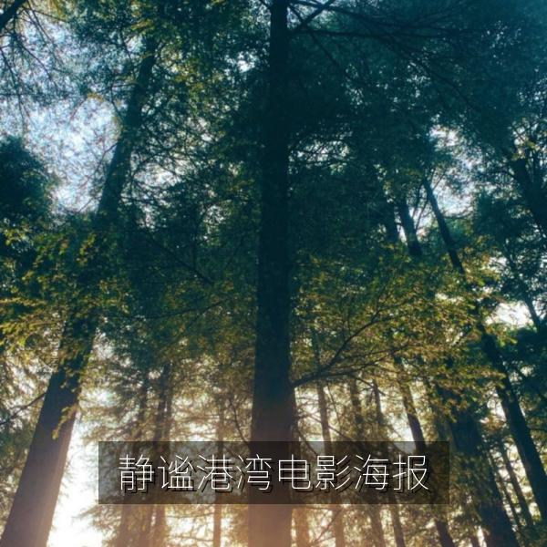 静谧港湾电影海报